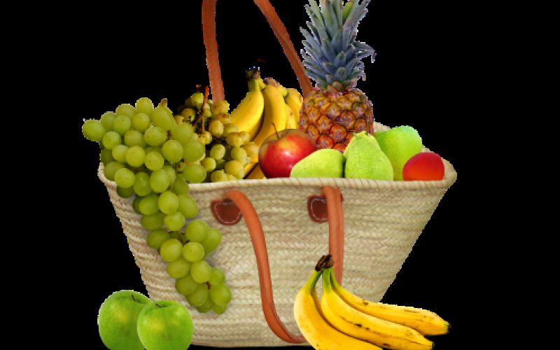 distribuidor de comida en palencia distribuidor de comida en palencia